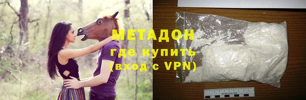шишки Пестово