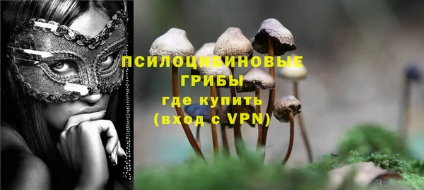 винт Покровск
