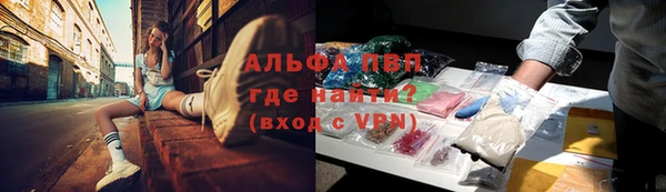шишки Пестово