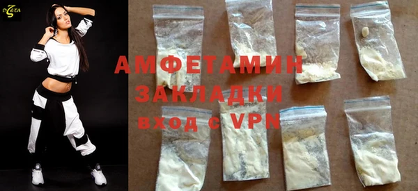 шишки Пестово