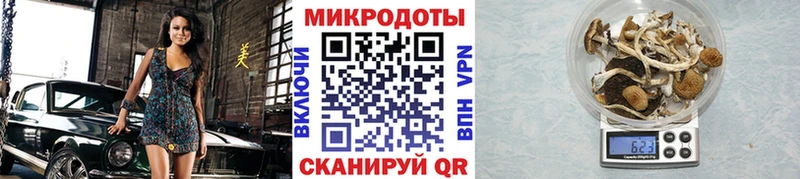 МЕГА ONION  цена наркотик  Монино  Галлюциногенные грибы мухоморы 